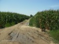 /album/campo/paisagem-da-reserva-jpg/